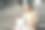 年轻女学生的肖像，亚洲女孩使用笔记本电脑。一个面带微笑的女孩，数字游牧民坐在街上远程完成她的项目图片下载
