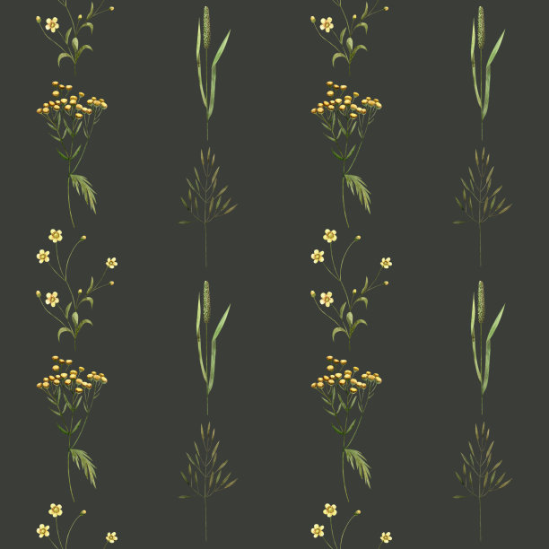 无缝图案的野花，草药在一个黑暗的背景。水彩插图的毛茛，三色堇印刷图片下载