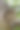 近距离图片树干与一截树枝。老锯砍下一棵树。垂直的照片。园艺和老化的概念。椭圆形的疤痕。背景和壁纸。树桩图片下载