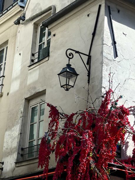 豪斯曼男爵建造的建筑物的不同立面图片下载