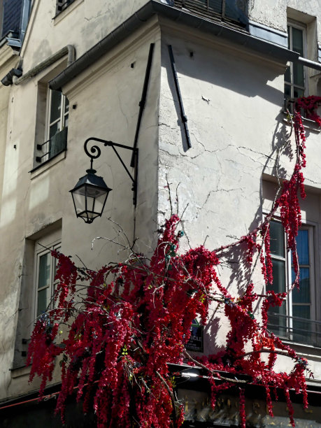 豪斯曼男爵建造的建筑物的不同立面图片下载