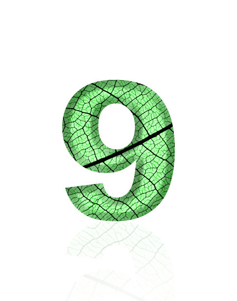 白色背景上9号三维叶脉的孤立照片图片下载