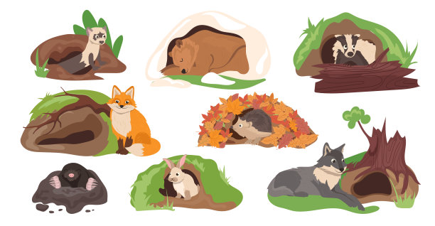 可爱的卡通动物生活在洞穴，森林和野外栖息地附近或地下洞图片下载