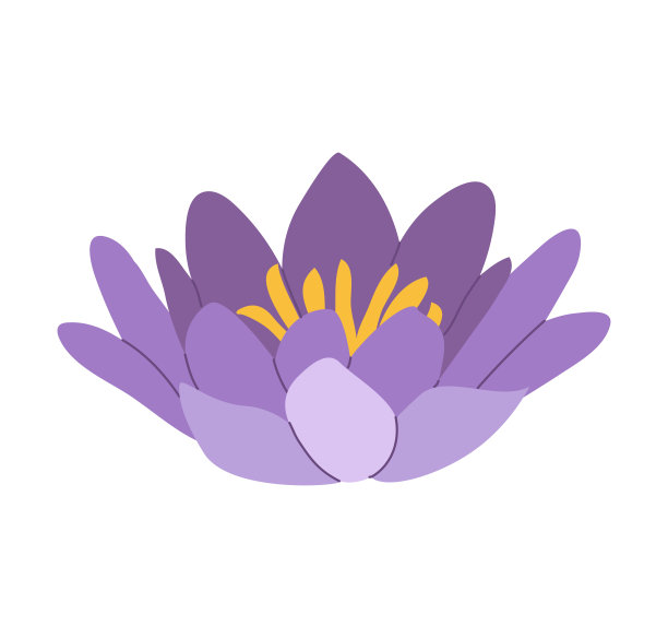 紫色的莲花。矢量简单的平面插图在一个白色的背景。图片下载