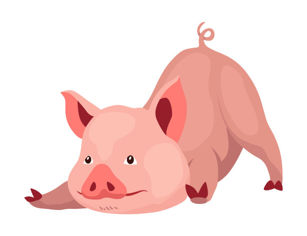 猪设定平面卡通孤立在白色背景。粉红猪矢量图图片下载