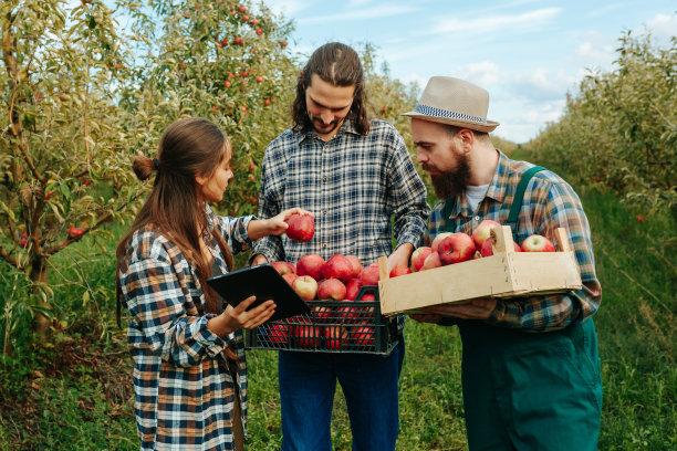 正面视图三个年轻的农民微笑着收割和监测其质量。图片下载