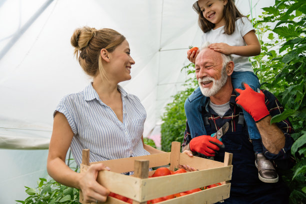 一家人一起在温室里工作。多代同堂，同时在家庭花园工作。图片下载