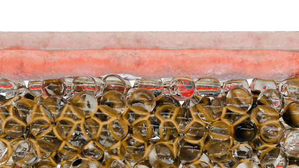 减肥比较。人的身体蜕变。之前和之后的粗腰和细腰，胖肚子之前和苗条贴合完美腹肌之后的快速减肥过程。在皮肤上。脂肪燃烧，3d渲染图片下载