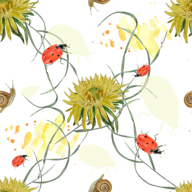 水彩无缝图案。插图与蒲公英，瓢虫，蜗牛在白色。植物织物、包装图片下载