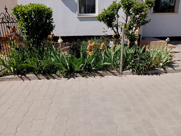 房子附近有一个花坛，花坛上有凋谢的花朵和观赏树木，花坛周围是鹅卵石小径。图片下载