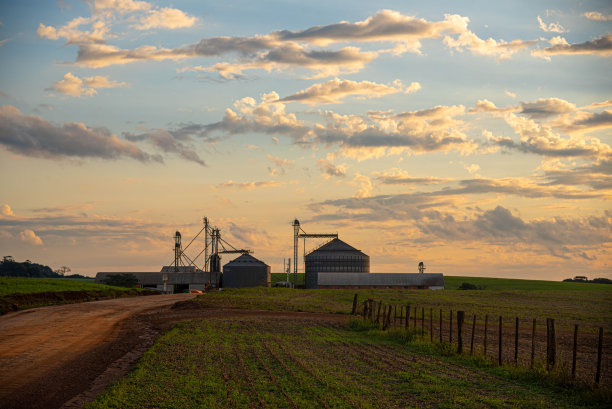 巴西南部潘帕斯草原黄昏的风景图片下载