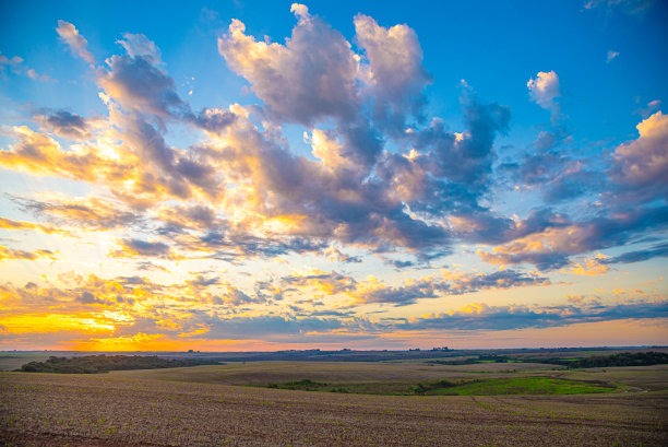 巴西南部潘帕斯草原黄昏的风景图片下载