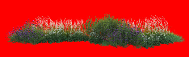 花卉三维绘制，地中海花园图片下载