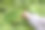 上图或俯视图的特写展示了待售的葡萄叶，一只手正在挑选或拿着它们图片下载