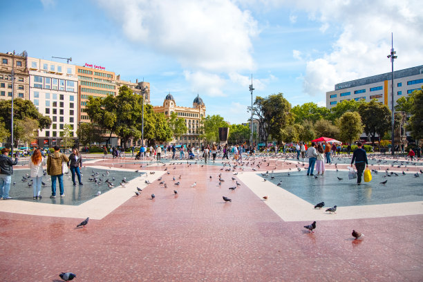 西班牙巴塞罗那市中心加泰罗尼亚广场上的鸽子图片下载