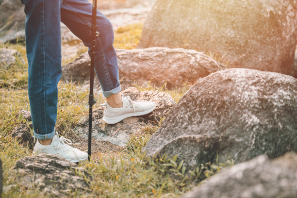 人们自然旅游，徒步旅行，探险，到森林国家公园度假活动，健康的生活方式图片下载