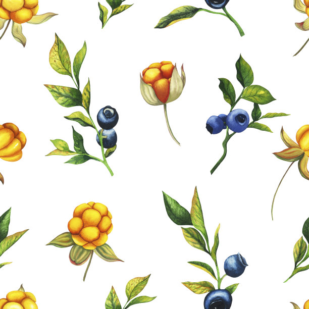 水彩无缝图案手绘橙云莓和蓝莓与浆果，树叶，树枝。植物森林浆果插图在白色孤立的背景。适用于包装纸、纺织品、横幅、植物装饰、贺卡等图片下载