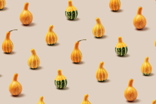 米色上装饰南瓜的最小图案。时尚唯美的照片，秋天的季节自然植物，万圣节和感恩节的趋势假期背景。许多葫芦或南瓜组成图片下载