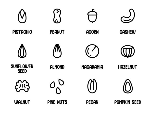 坚果图标集。坚果和种子的名称收集。采购产品花生，开心果，杏仁，榛子，橡子，腰果，澳洲坚果，核桃。在白色背景上隔离的网页设计的坚果矢量图标的轮廓集图片下载