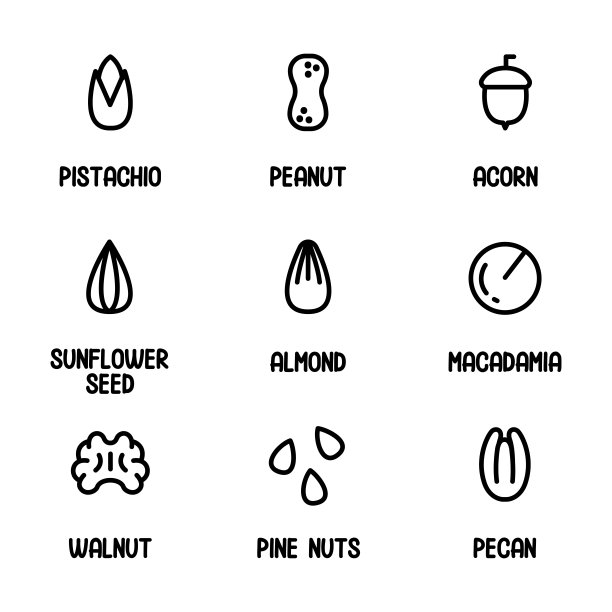 坚果和种子图标设置。采购产品花生，开心果，杏仁，橡子，夏威夷果，核桃，松子，山核桃。有名字的坚果。矢量插图的轮廓风格图片下载