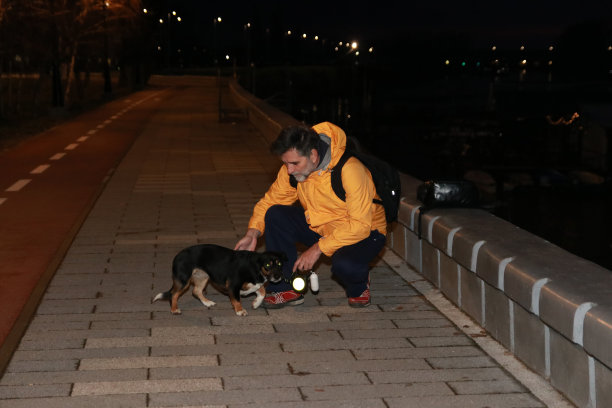 夜遛狗图片下载