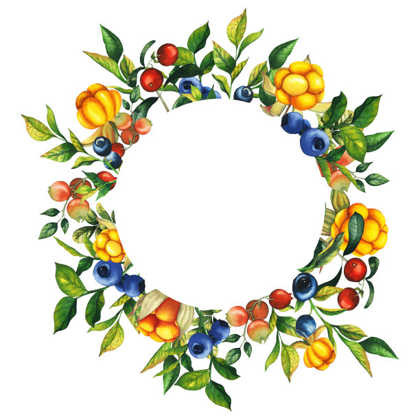 水彩圆形框架手绘云莓，蔓越莓，红莓和蓝莓与浆果，树叶，树枝。植物森林浆果插图在白色孤立的背景。适用于横幅，植物装饰，贺卡，作为自然图片下载