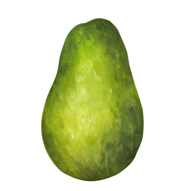 鳄梨绿色的完整成熟果实。植物植物剪贴画。素食饮食绘画。手绘水彩插图孤立的白色背景。用于设计标志、印刷图片下载