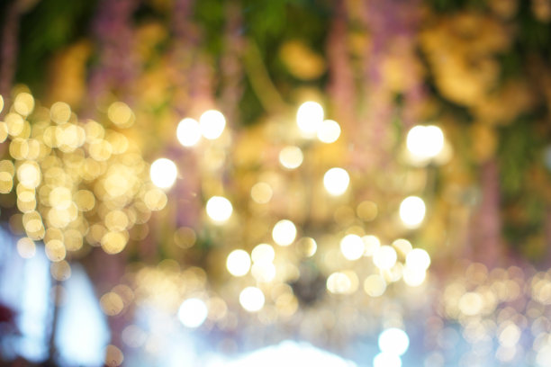 模糊的背景金色灯光和微妙的花卉细节，理想的庆祝活动图片下载