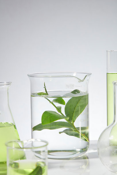 这是一张很有创意的照片，照片的主体是一个放在中间的烧杯，里面有一些透明的液体和一根新鲜的绿茶，上面装饰着一些模糊的实验室物品，正面视图图片下载