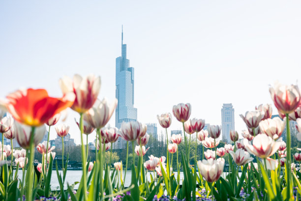 南京城市公园图片下载