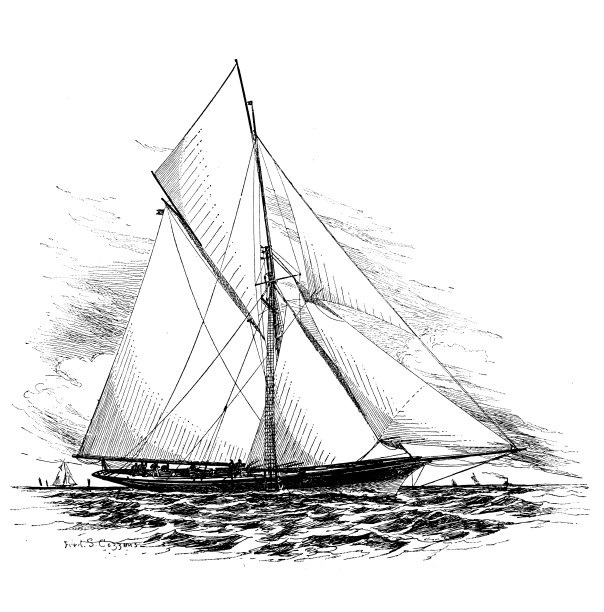 古董形象:帆船，“蓟”图片下载