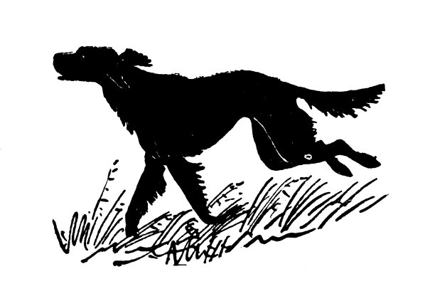 古色古香的形象:狗奔跑的剪影图片下载