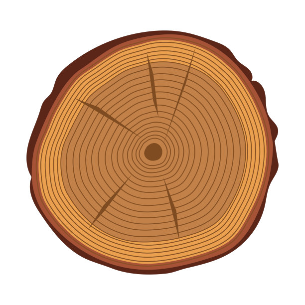 树干在白色背景上切割图片下载