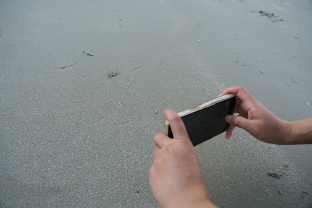 有人用智能手机拍了一张小螃蟹在沙滩上的照片。图片下载