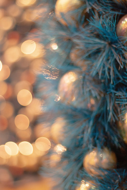 2006年12月1日香港的圣诞装饰图片下载