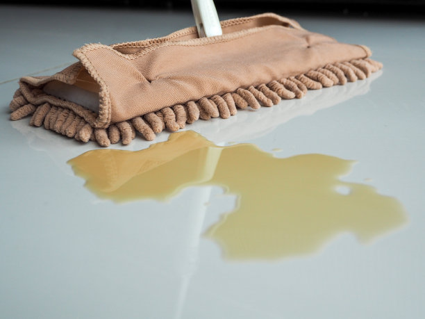 拖把把洒在地板上的咖啡擦干净。图片下载