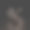 字母X和植物叶子图片下载