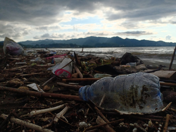 塑料危险:海岸线的斗争图片下载