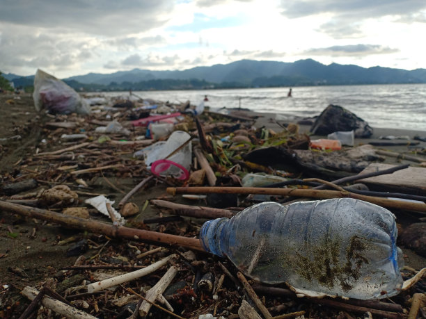 被污染包围的海滩图片下载