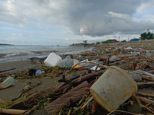 被污染的潮汐:被污染包围的海滩图片下载
