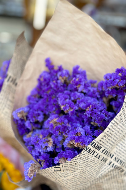 紫菀是一种小型开花植物。花序和花瓣像纸。用于插花图片下载