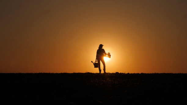 照片中，一位女农民手里拿着水和一棵幼苗，站在夕阳下的田野里。图片下载