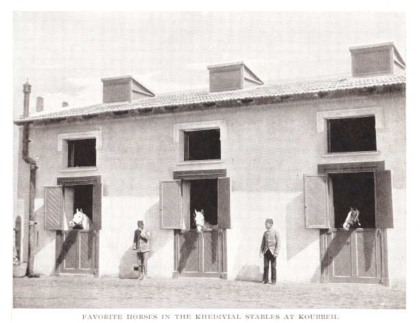 库贝宫的马厩，开罗，19世纪的埃及历史图片下载