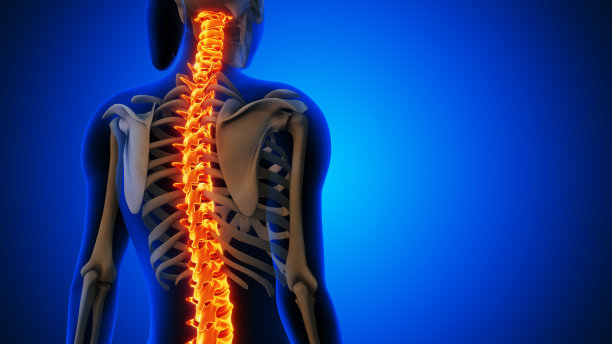 有背痛病史的女性图片下载