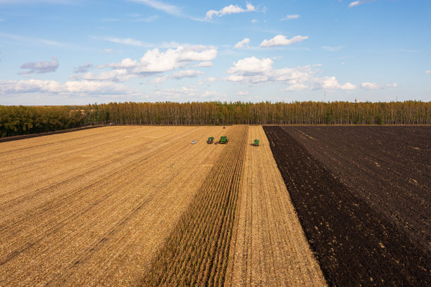 联合收割机收割玉米的航拍照片图片下载