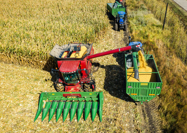 联合收割机收割玉米的航拍照片图片下载