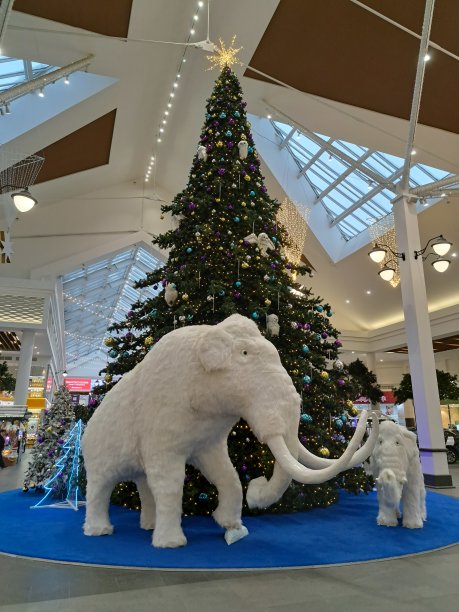 猛犸在看圣诞树图片下载