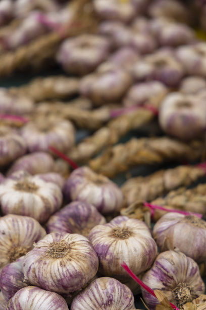 餐桌上的白色大蒜堆，蔬菜市场摊位的俯视图照片图片下载