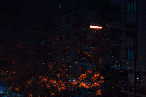 夜里下雪了，路灯亮着，库存照片图片下载