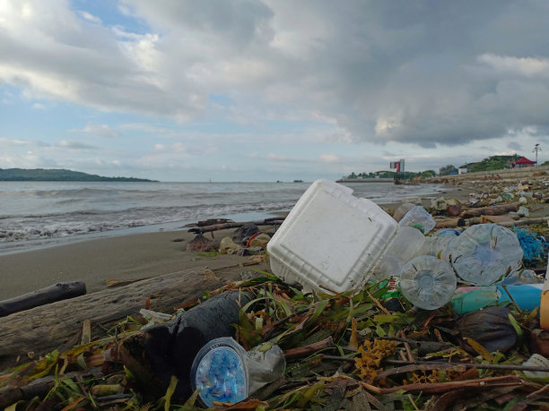 塑料危险:海岸线的斗争图片下载